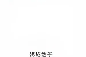 无声字幕组职场剧中的深夜剪辑室桌面